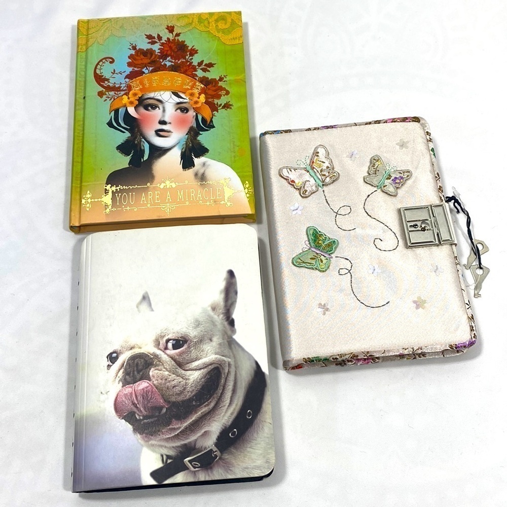 NWOT Diary and 2 notebooks​​​​​​​​